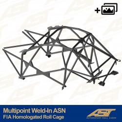 FIA Homologated Roll Cage...