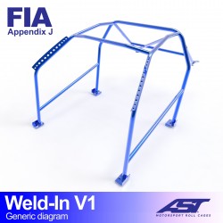 Roll Cage ALFA ROMEO 33...